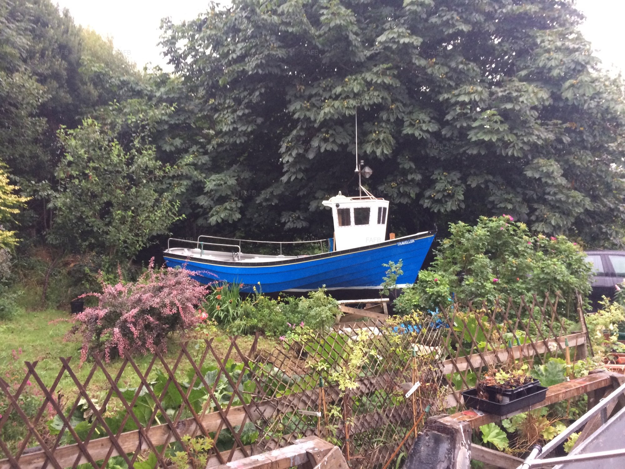 Large picture for advert 100398