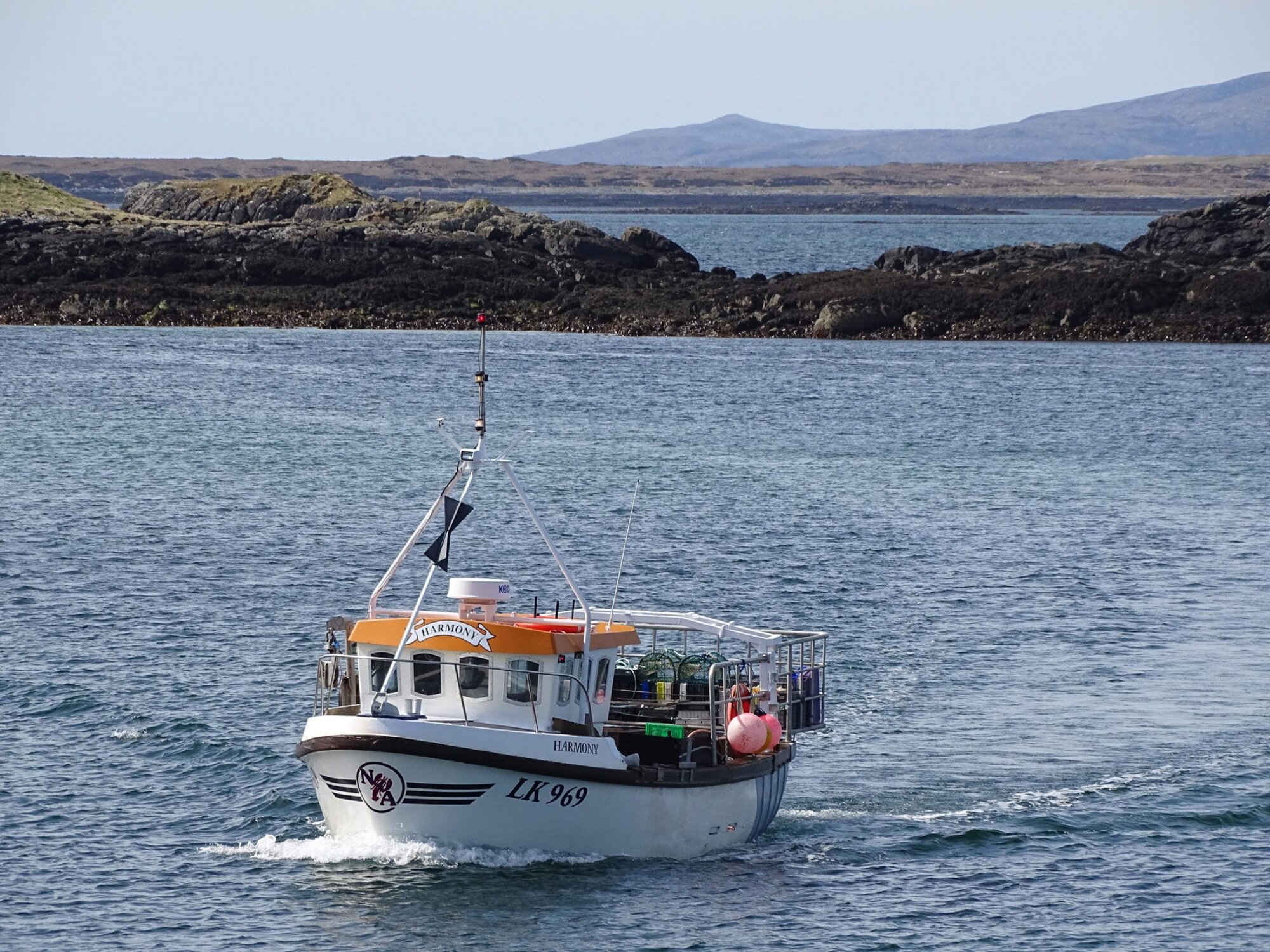 Large picture for advert 125998