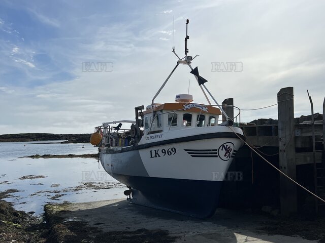 Large picture for advert 125998