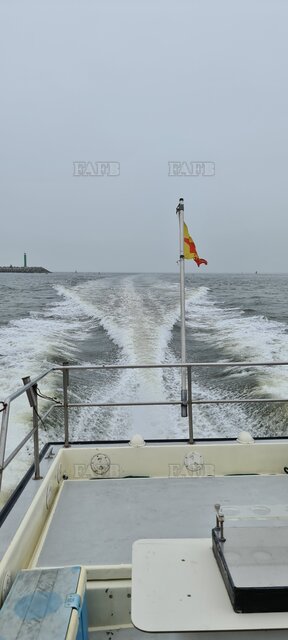 Large picture for advert 127698
