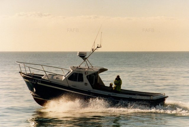 Large picture for advert 104648