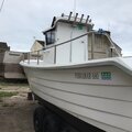 Extra picture for advert 119648